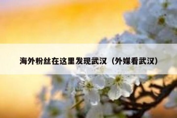 海外粉丝在这里发现武汉（外媒看武汉）