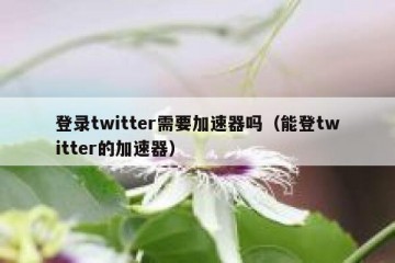 登录twitter需要加速器吗（能登twitter的加速器）