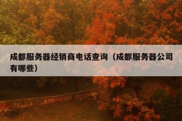 成都服务器经销商电话查询（成都服务器公司有哪些）