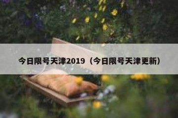 今日限号天津2019（今日限号天津更新）