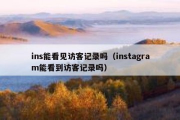ins能看见访客记录吗（instagram能看到访客记录吗）