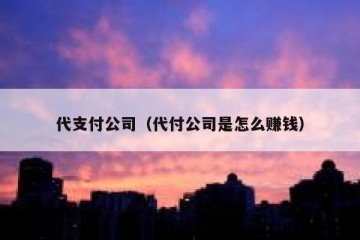 代支付公司（代付公司是怎么赚钱）