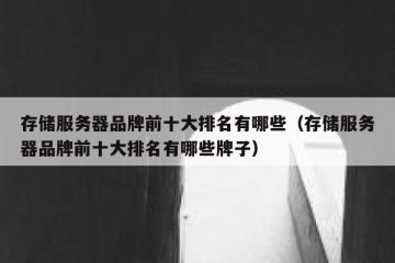 存储服务器品牌前十大排名有哪些（存储服务器品牌前十大排名有哪些牌子）