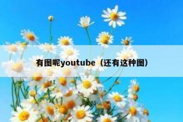 有图呢youtube（还有这种图）