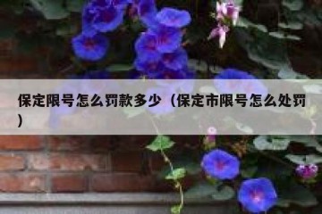 保定限号怎么罚款多少（保定市限号怎么处罚）