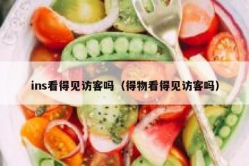 ins看得见访客吗（得物看得见访客吗）