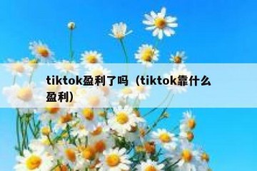 tiktok盈利了吗（tiktok靠什么盈利）