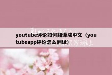 youtube评论如何翻译成中文（youtubeapp评论怎么翻译）
