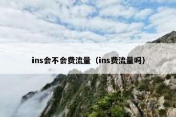 ins会不会费流量（ins费流量吗）