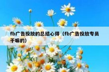 fb广告投放的总结心得（fb广告投放专员干嘛的）
