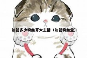 油管多少粉丝算大主播（油管粉丝量）
