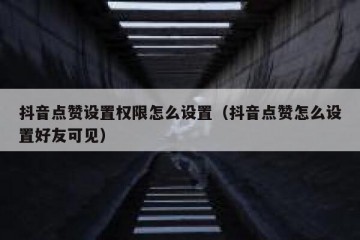 抖音点赞设置权限怎么设置（抖音点赞怎么设置好友可见）