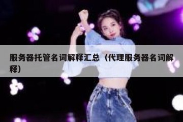 服务器托管名词解释汇总（代理服务器名词解释）