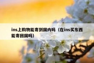 ins上购物能寄到国内吗（在ins买东西能寄回国吗）