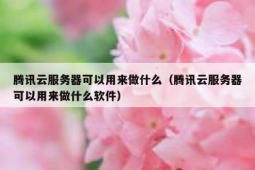 腾讯云服务器可以用来做什么（腾讯云服务器可以用来做什么软件）