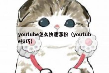 youtube怎么快速涨粉（youtube技巧）