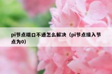 pi节点端口不通怎么解决（pi节点接入节点为0）