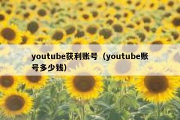 youtube获利账号（youtube账号多少钱）