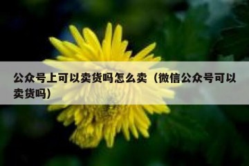 公众号上可以卖货吗怎么卖（微信公众号可以卖货吗）