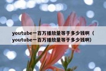 youtube一百万播放量等于多少钱啊（youtube一百万播放量等于多少钱啊）