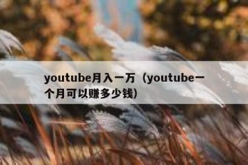 youtube月入一万（youtube一个月可以赚多少钱）