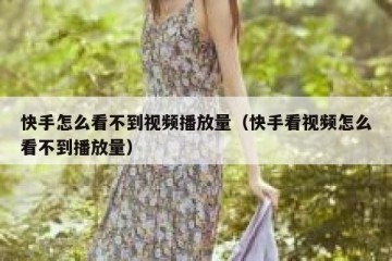 快手怎么看不到视频播放量（快手看视频怎么看不到播放量）