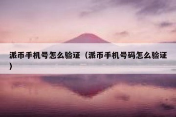 派币手机号怎么验证（派币手机号码怎么验证）