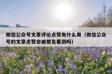 微信公众号文章评论点赞有什么用（微信公众号的文章点赞会被朋友看到吗）