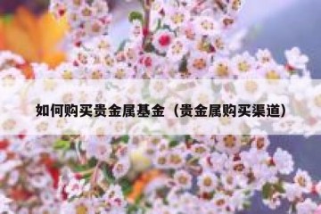 如何购买贵金属基金（贵金属购买渠道）