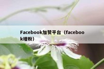 Facebook加赞平台（facebook增粉）