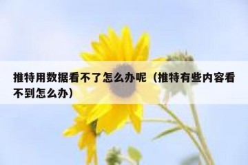 推特用数据看不了怎么办呢（推特有些内容看不到怎么办）
