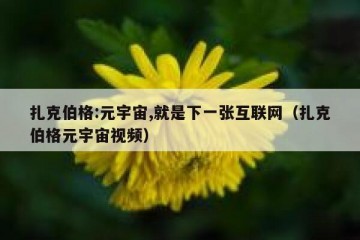 扎克伯格:元宇宙,就是下一张互联网（扎克伯格元宇宙视频）