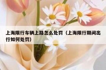 上海限行车辆上路怎么处罚（上海限行期间出行如何处罚）