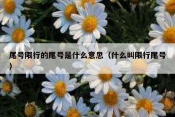 尾号限行的尾号是什么意思（什么叫限行尾号）