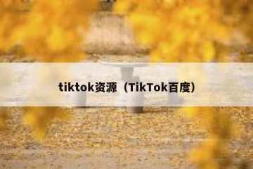 tiktok资源（TikTok百度）