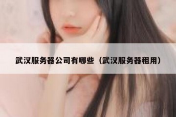 武汉服务器公司有哪些（武汉服务器租用）