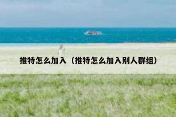 推特怎么加入（推特怎么加入别人群组）