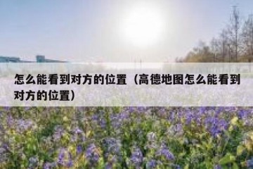 怎么能看到对方的位置（高德地图怎么能看到对方的位置）
