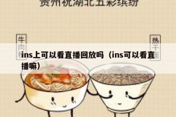 ins上可以看直播回放吗（ins可以看直播嘛）