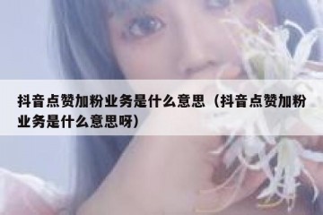 抖音点赞加粉业务是什么意思（抖音点赞加粉业务是什么意思呀）