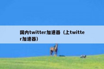 国内twitter加速器（上twitter加速器）