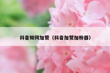 抖音如何加赞（抖音加赞加粉器）