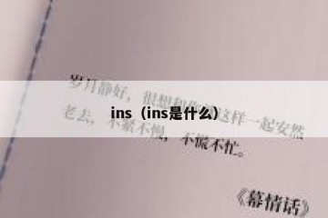 ins（ins是什么）
