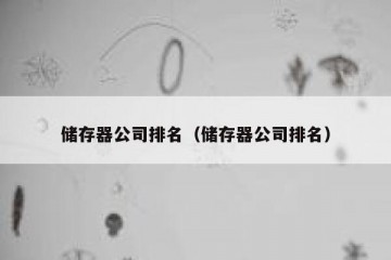 储存器公司排名（储存器公司排名）