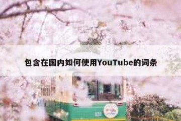 包含在国内如何使用YouTube的词条