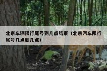 北京车辆限行尾号到几点结束（北京汽车限行尾号几点到几点）