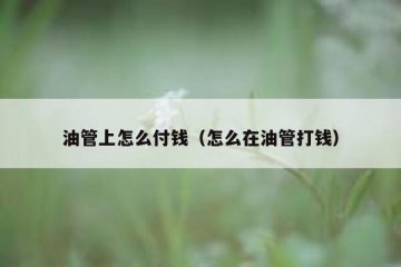 油管上怎么付钱（怎么在油管打钱）