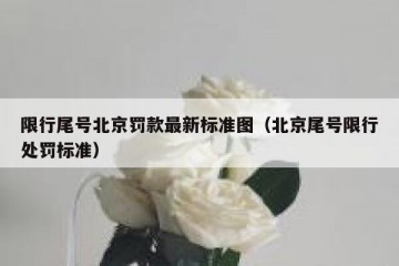 限行尾号北京罚款最新标准图（北京尾号限行处罚标准）
