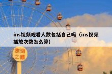 ins视频观看人数包括自己吗（ins视频播放次数怎么算）