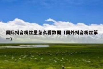 国际抖音粉丝量怎么看数据（国外抖音粉丝第一）